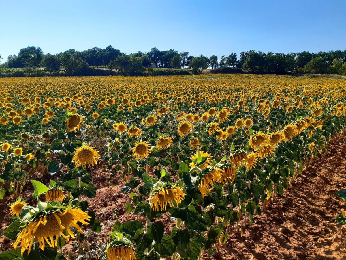 La Vita Dolce, Luberon Grambois Zewnętrze zdjęcie