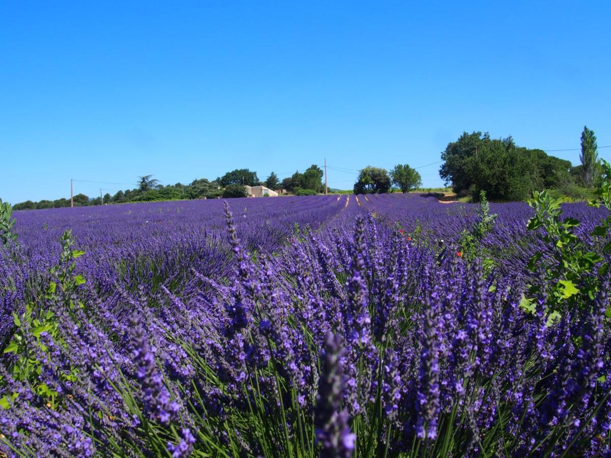 La Vita Dolce, Luberon Grambois Zewnętrze zdjęcie