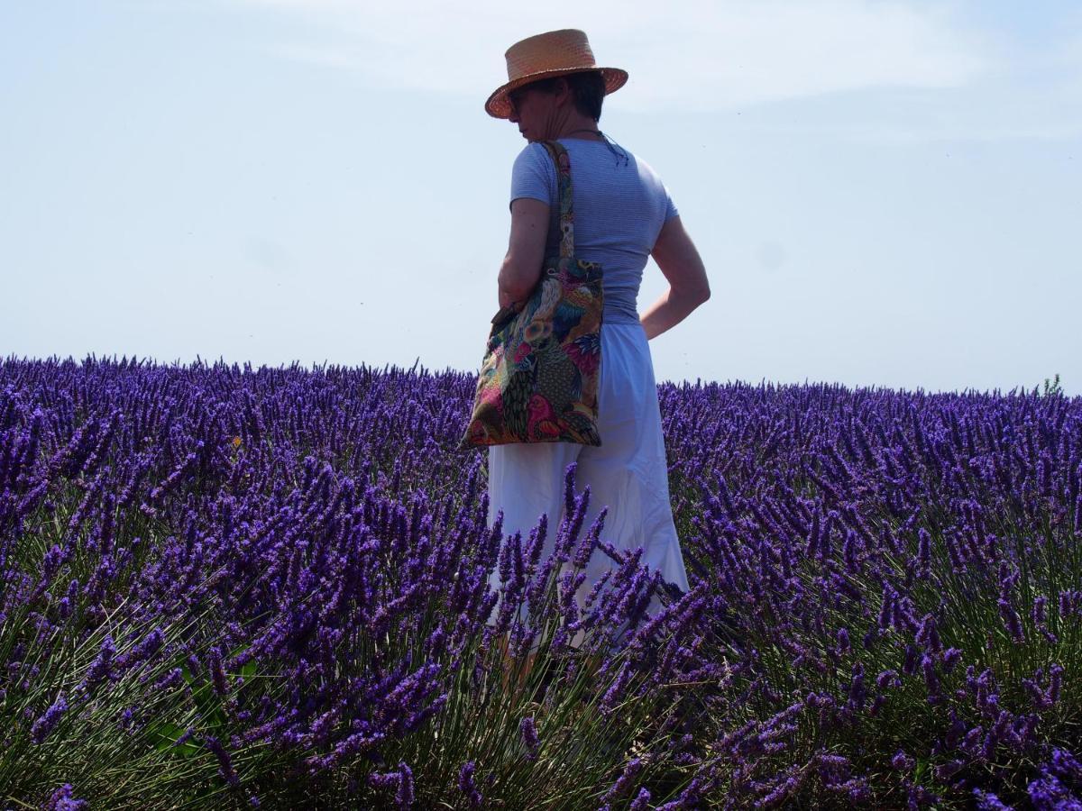 La Vita Dolce, Luberon Grambois Zewnętrze zdjęcie