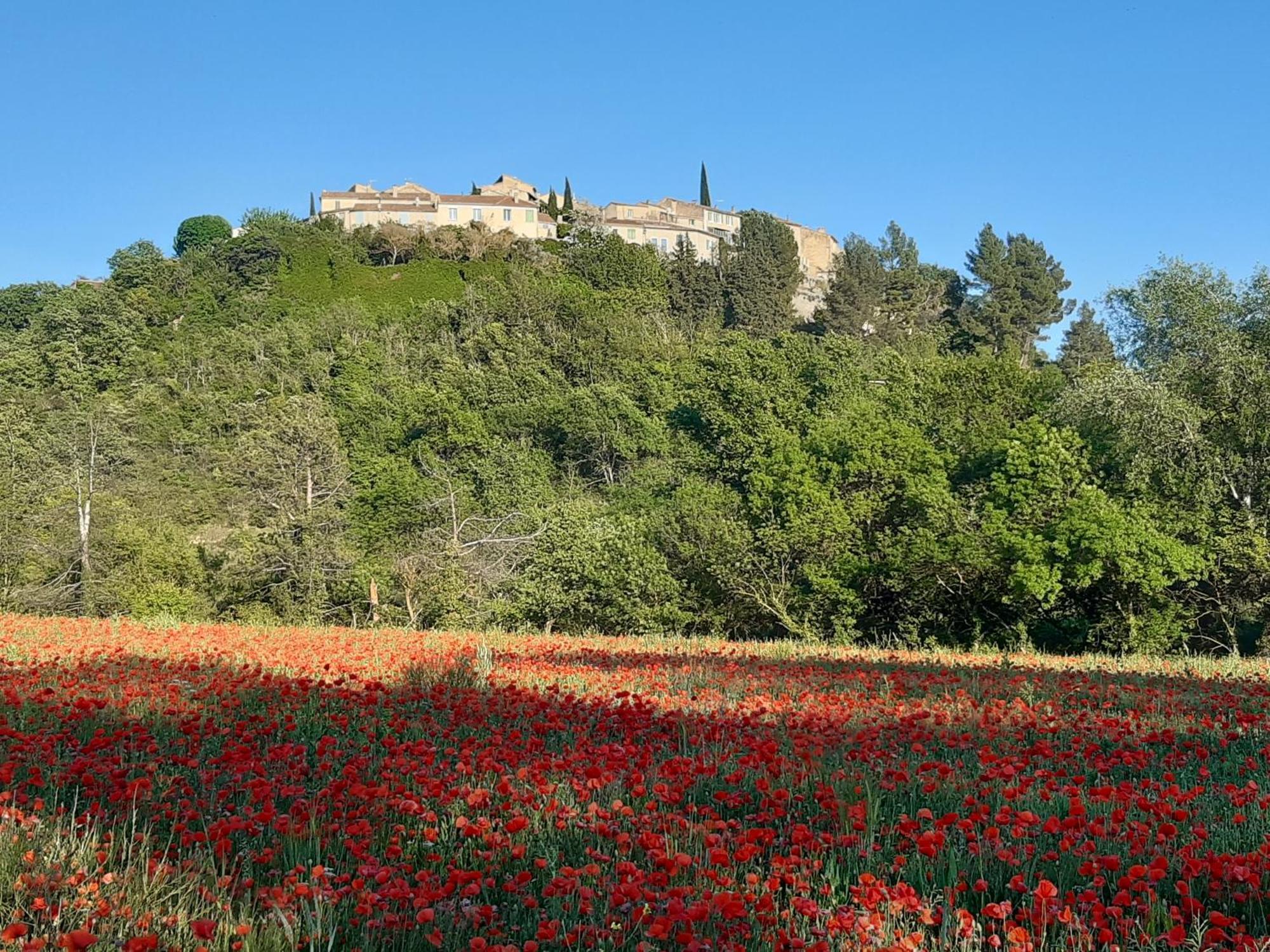 La Vita Dolce, Luberon Grambois Zewnętrze zdjęcie